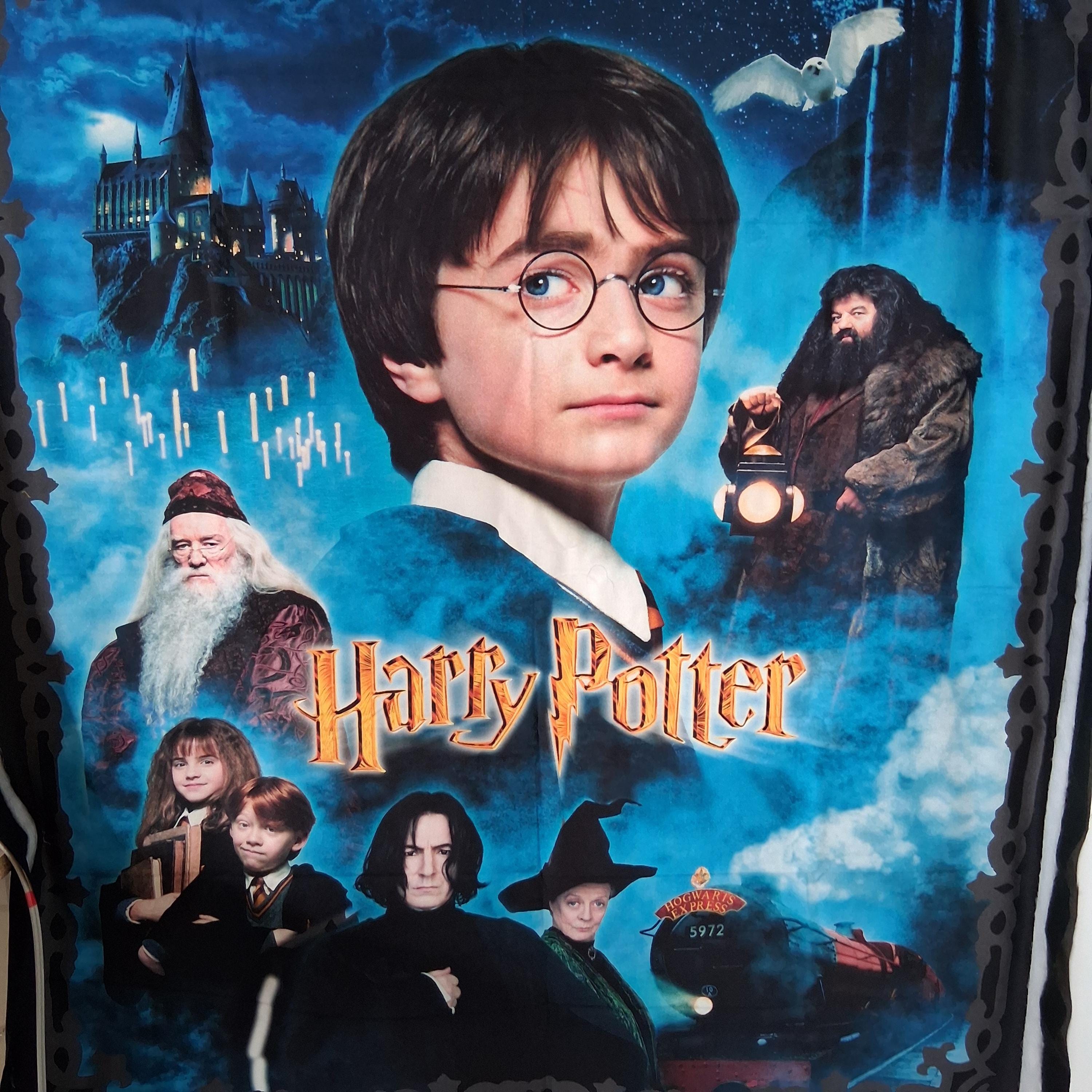 Handmade Harry Potter Threads of Magic Wall Hanging